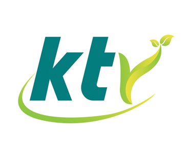 KT – logo work